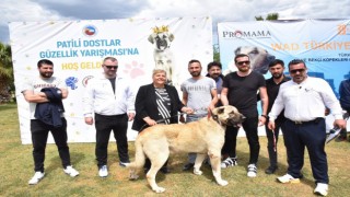 Ceyhanda Patili Dostlar Güzellik Yarışması