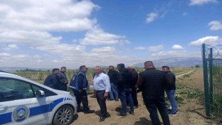 Çiftçi ve zabıta dolu topu avına çıktı