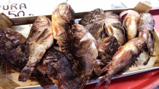 Çirkin Kral kilosu 60 liradan satıldı