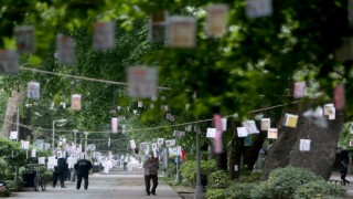 Cumhuriyet Bulvarında ağaçlar kitaplarla süslenecek