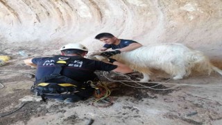 Dağda mahsur kalan keçi 6 saatlik çalışmayla kurtarıldı