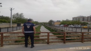 Derede kaçak avlanan inci kefali balığı yeniden suya bırakıldı