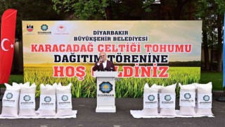 Diyarbakırlı çiftçilere çeltik tohumu desteği
