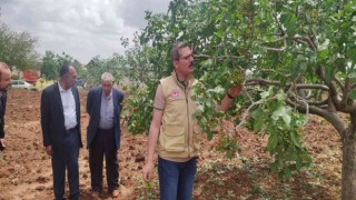 Dolunun vurduğu tarım arazilerinde hasar tespiti başladı