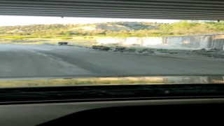 Domuz sürüsü D100 karayoluna indi