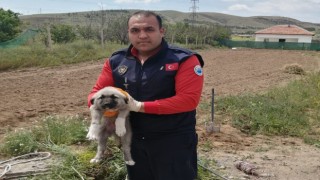 Düştüğü çukurda sıkışan yavru köpeği itfaiye ekipleri kurtardı