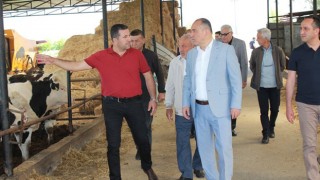 Düziçi Kaymakamı İlhan, hayvan çiftliğini ziyaret etti