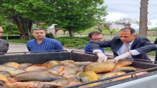 Elazığda kaçak avlanan 500 kilogram balık yakalandı