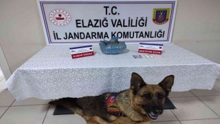 Elazığda uyuşturucu operasyonu: 1 gözaltı