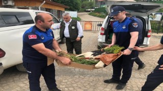 Elektrik akımına kapılan leylek için ekipler seferber oldu