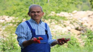 Emekli madenci hayatını tarıma adadı; şimdi siparişe yetişemiyor