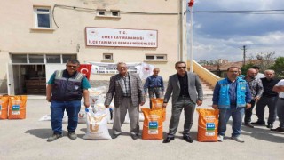 Emette çiftçilere yüzde 75 hibeli ayçiçeği ve nohut tohumu dağıtıldı