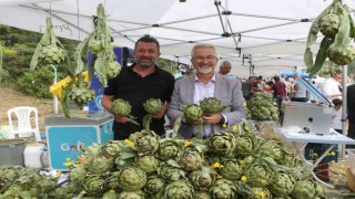 Enginarlı lezzetler şefleri karar vermekte zorladı