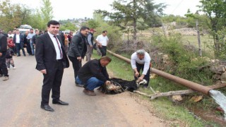 Erdemlide sulama suyu sevinci