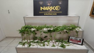 Erzincanda 3 ayrı uyuşturucu operasyonunda 3 kişi tutuklandı