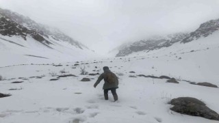 Erzincanda mayıs ayında kar sürprizi