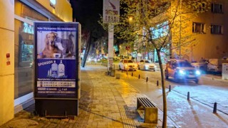 Esnaftan sokak hayvanları için örnek davranış