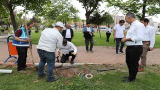 Eyyübiyede dış mekan fotoğrafçılarını sevindiren çalışma