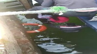 Feribottan inip iskelede dolaşırken denize düşen çocuğu görevli personel kurtardı