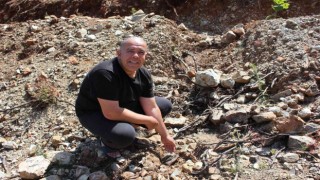 Fidan dikerken bulunan cüzdanın 20 yıl önce çalındığı ortaya çıktı