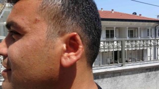 Film senaryolarını aratmayacak olay: Kavgada kopan kulağını martı kaptı