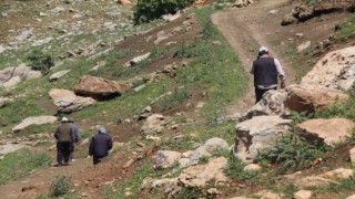 Gabar Dağında iki gündür kayıp olan vatandaşı bulma çalışmaları devam ediyor