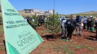 Gaziantepte lise öğrencilerinden hatıra ormanı