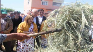 Geleneksel yöntemlerle yapılan firik ütme başladı