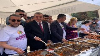 Halfetide Meyve Yemekleri Festivali düzenleniyor