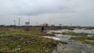 Haşere ile mücadele aralıksız devam ediyor