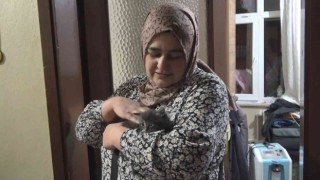 Havalandırma boşluğundan kurtarılmasını sağladığı yavru kediyi sahiplendi