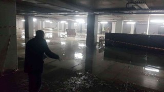 Havalar ısındı, Maltepede sivrisinekle mücadele başladı