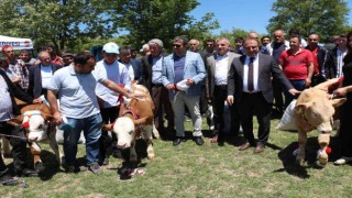 Havzada yayla şenliği
