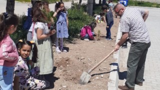 Hisarcık Atatürk İlkokulunda fidan dikim etkinliği