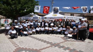 İğnedere, gelir getirici ağaç türleriyle kalkınacak