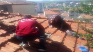 İlaçlama yapmak için çıktığı çatıda ayağını kırdı