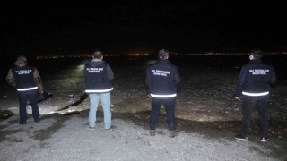 İnci kefalinin korunması için geceli gündüzlü denetim