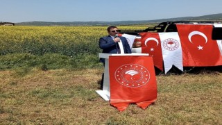 İnönüde Kanola umut veriyor