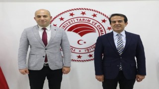 İnteraktif Çilek E- Çalıştayı kitap oldu