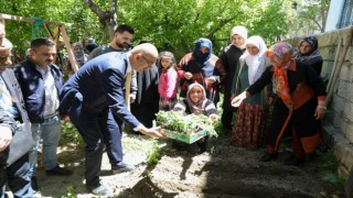 İpekyolu Belediyesinden sebze fidesi dağıtımı