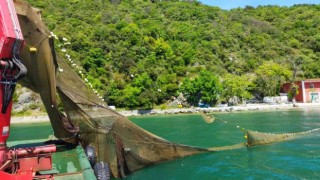 İstanbul Boğazında balık avlamak için kaçak dalyan kurdular