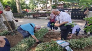 İstanbul, “Isparta gülü” kokacak