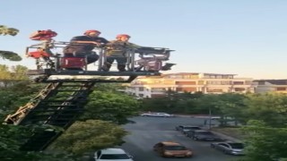 İstanbulda kuş kurtarma operasyonu kamerada