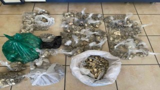 İstanbulda tedavüldeki bozuk paraları hurdacıya satan şahıslara baskın: 2 gözaltı