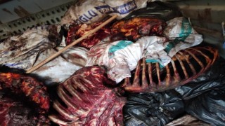 İzmirde çürümeye yüz tutmuş 3 bin 660 kilo at eti ele geçirildi
