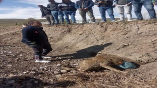 Kafası bidona sıkışan köpek kurtarıldı