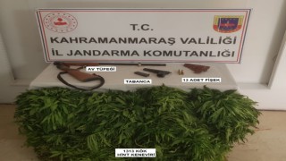 Kahramanmaraşta cezaevi firarisi yakalandı