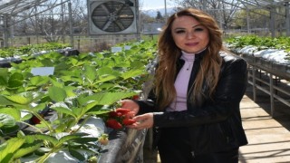 “Kalede Çilek Kadın Elinde Yetişecek” Projesi devrede