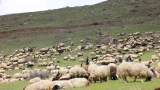 Kar ve tipi nedeniyle mahsur kalan göçerler kurtarıldı