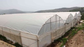 Kara kışta zarar gören seralar yeniden üretime geçti